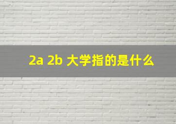 2a 2b 大学指的是什么